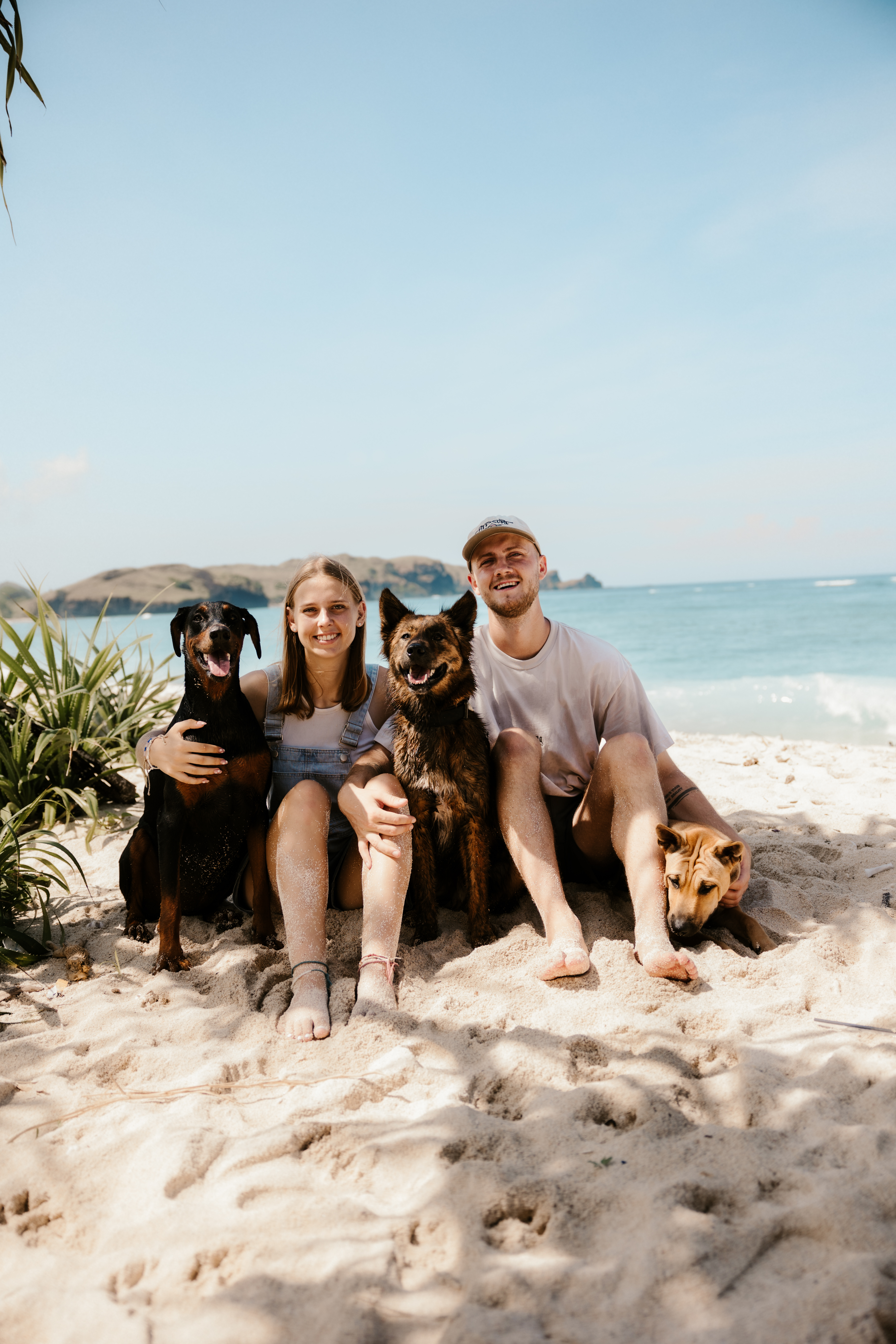 Gerettete Hunde bei Travel2Rescue